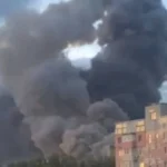 З