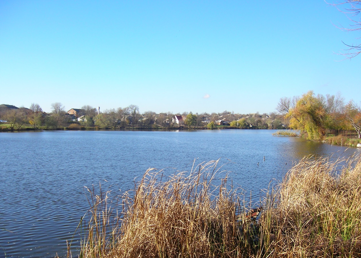 На Гайсинщині зафіксували масовий мор риби