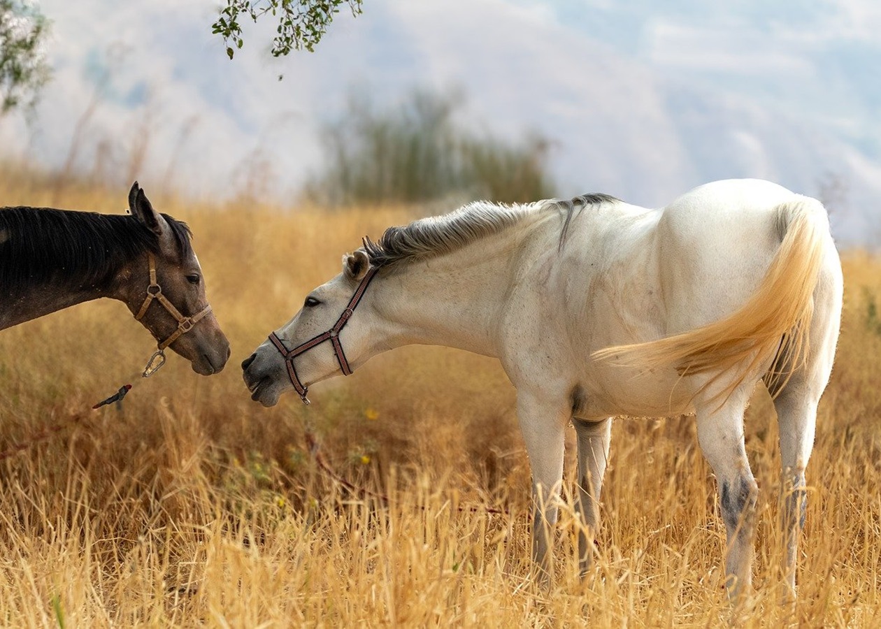 Гороскоп для всіх знаків зодіаку на 21 жовтня 2025 року