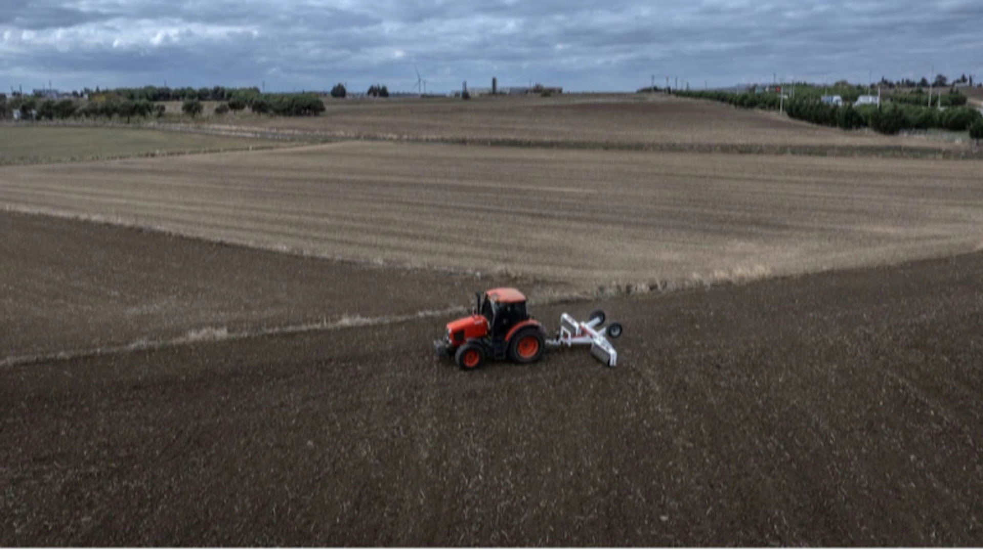 14% агробізнесу стикалися з корупцією цьогоріч: що вплинуло на зменшення показника