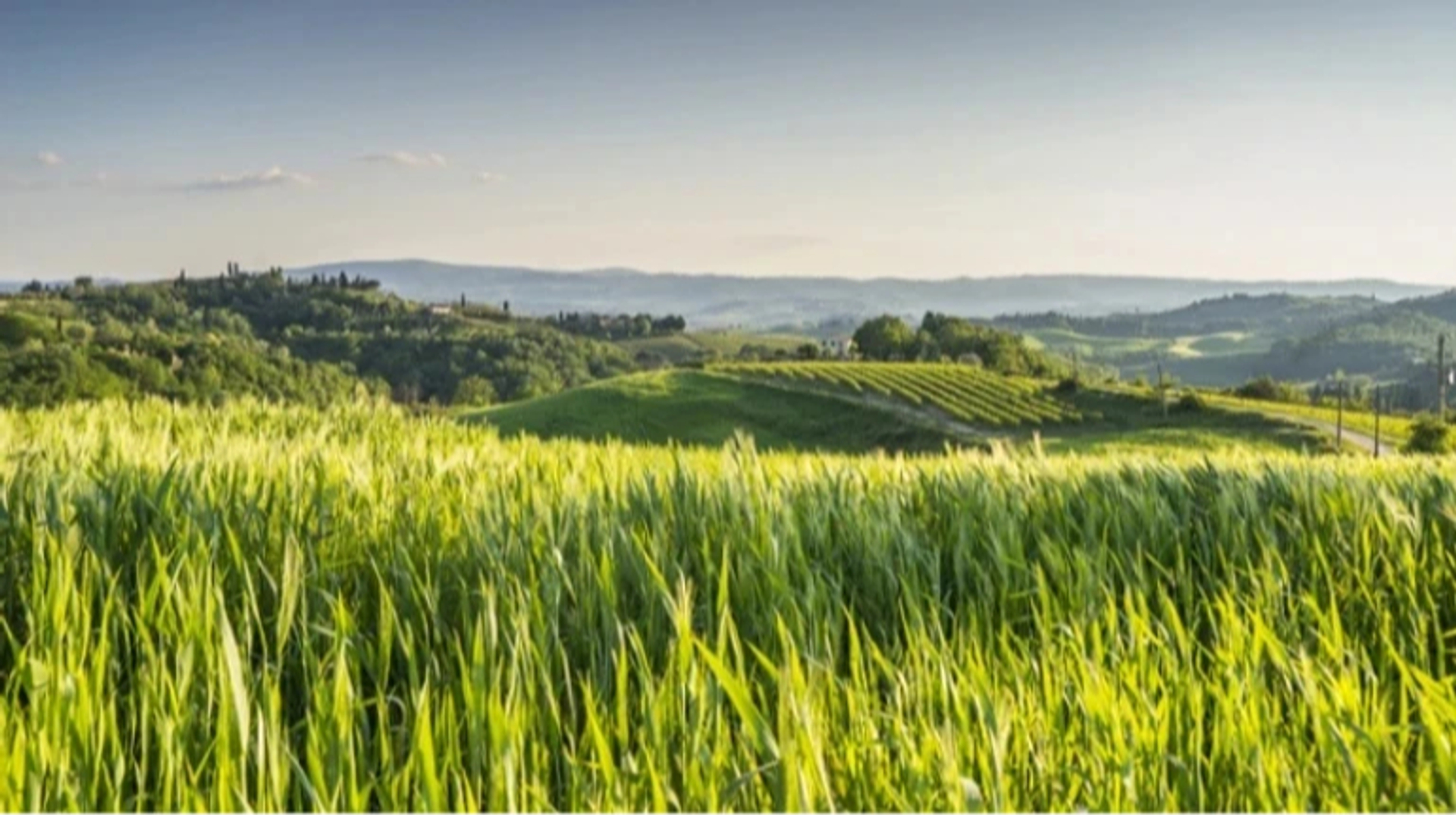 Земельний податок: податкова розповіла, хто сплатив найбільше