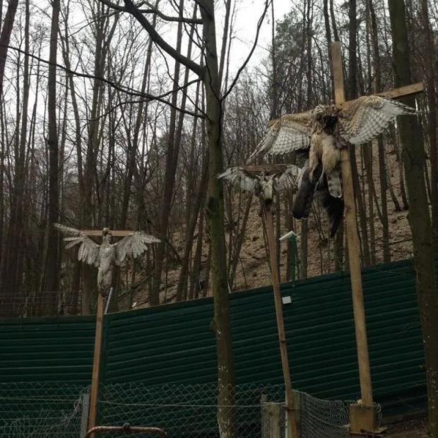 Ідіократія і фарт