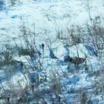 Біля Покровська рій FPV‑дронів ЗСУ врятував військових від полону