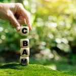 Якщо не домовимося про відтермінування щодо СВАМ, втратимо європейські ринки збуту – експертка