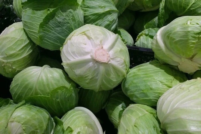 В Україні стрімко дешевшає капуста: яка ціна нині