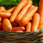 В Україні почала дорожчати морква