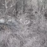 Двоє бійців ЗСУ взяли в полон вісьмох окупантів