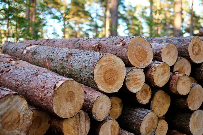 В Україні стартував прийом заяв на виплати для купівлі дров та вугілля