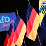 Стало відомо, яка вікова група голосувала за AfD