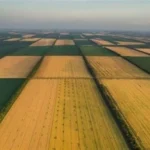Як власникам паїв захистити свої права та розірвати договір: інструкція